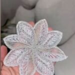 شنتروا دانتيل -6 قطع