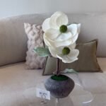 فازا بالورد