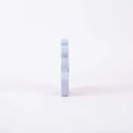 ⁦ديكور جمالي من رتيلة⁩ - الصورة ⁦2⁩