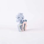 ⁦ديكور جمالي من رتيلة⁩ - الصورة ⁦3⁩