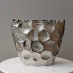 فازا خلية حجم الكبير