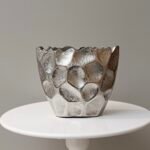 فازا الخلية حجم الصغير