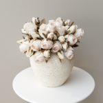 فازا حجم كبير - ابيض