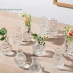 فازا زجاجية للورد مختلفة الانواع - حجم واحد