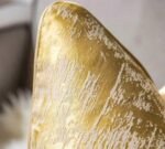 ⁦غطاء وسادة بوليستر ملونة بنمط مزخرف اصفر / 45*45⁩ - الصورة ⁦2⁩