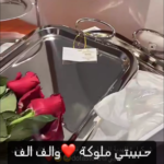 طقم سفر كبيرةً+متوسطة