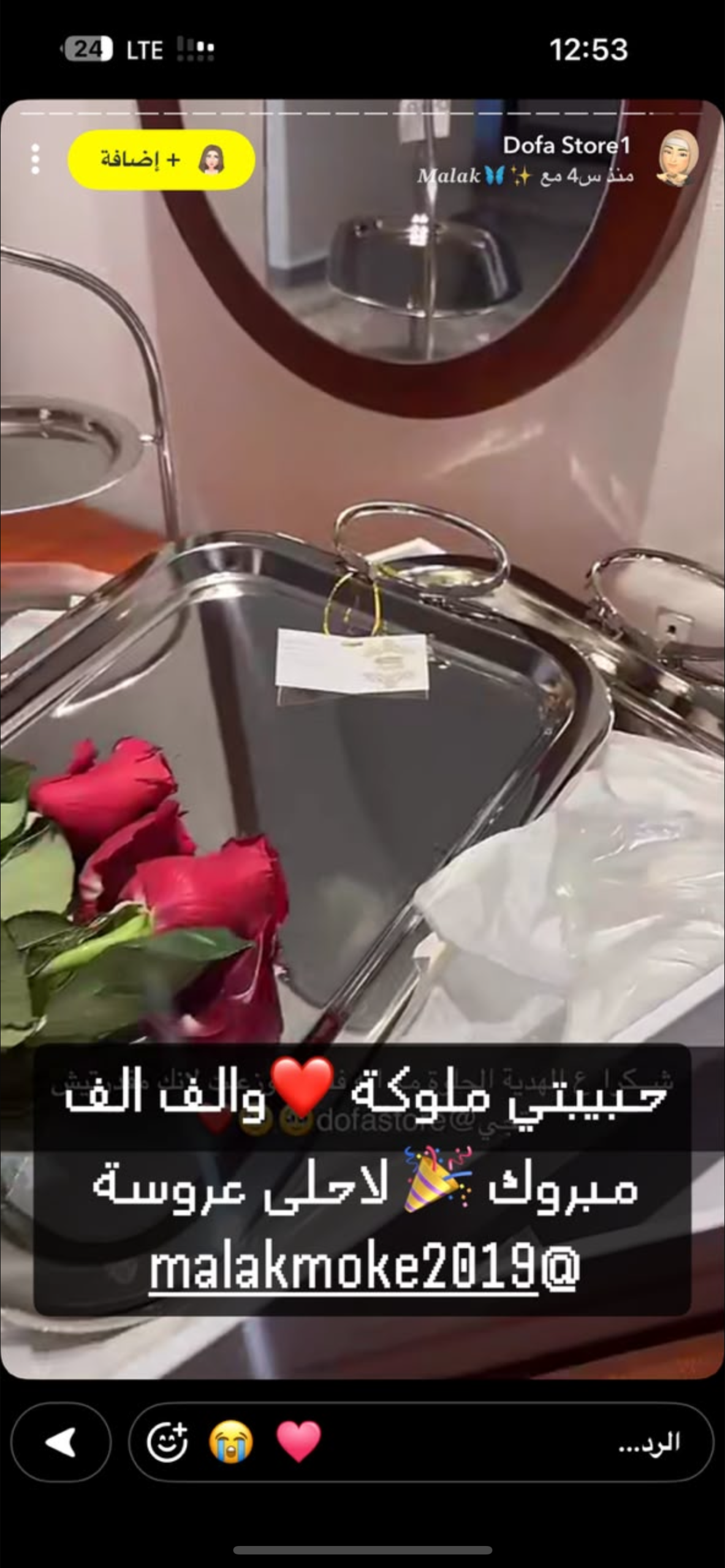 img_4282-2 طقم سفر كبيرةً+متوسطة - الصورة 1